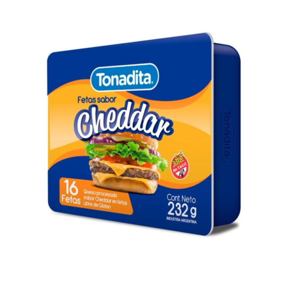 CHEDDAR EN FETAS X 10 TONADITA